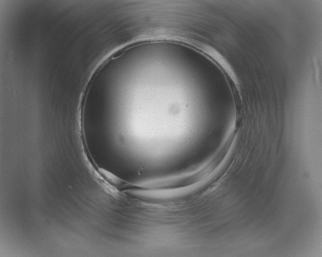 X0000074021388200609061104