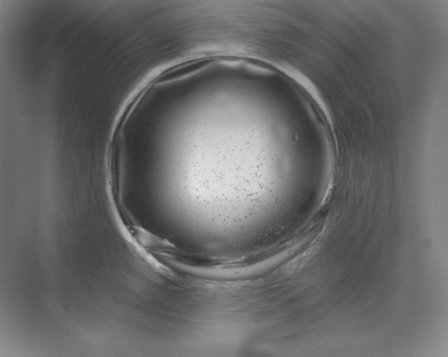 X0000074021389200609061104