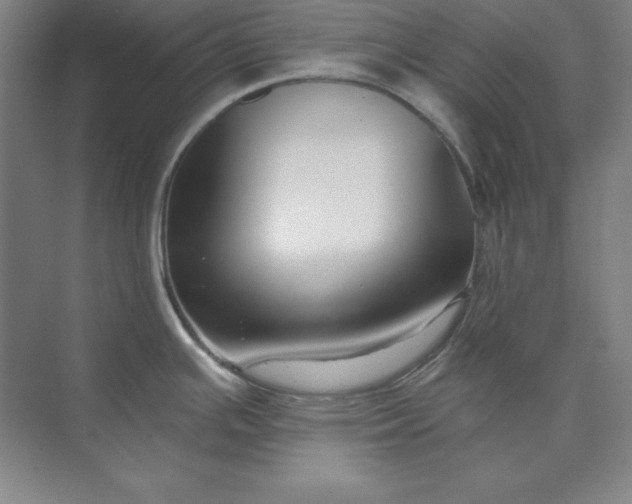 X0000074021391200609061104