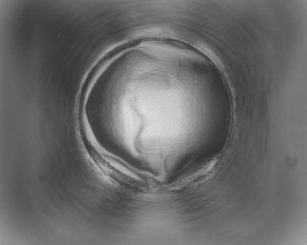 X0000074021392200609061104