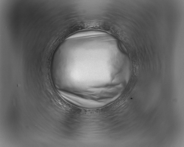 X0000074021393200609061103