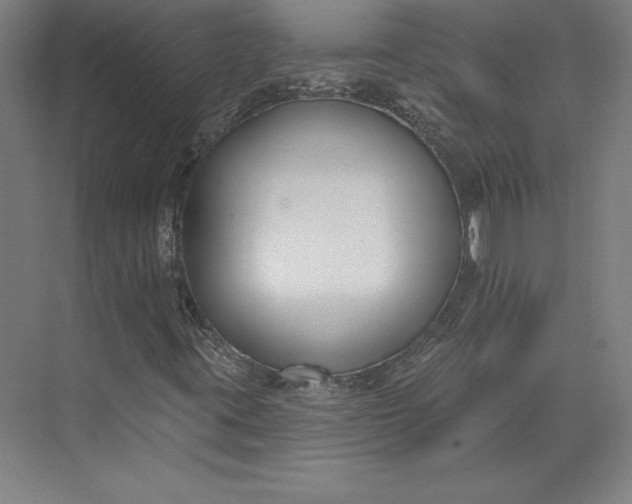 X0000074021395200609061103