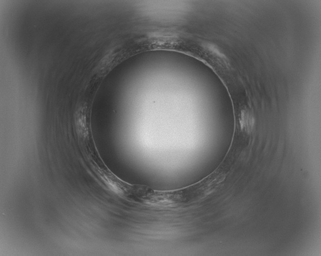 X0000074021396200609061103