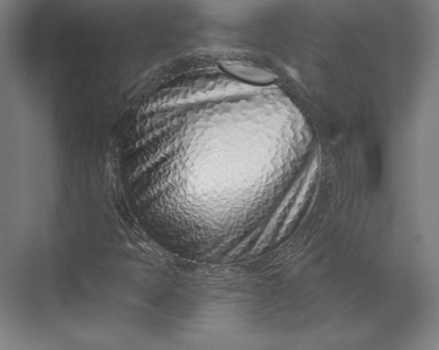 X0000074021397200609061103