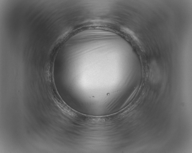X0000074021403200609061103