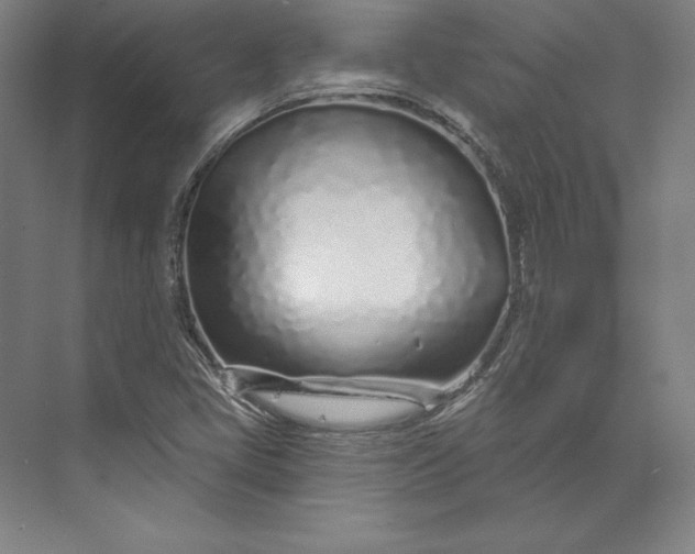 X0000074021405200609061103