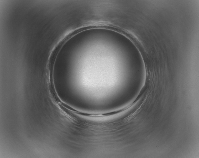 X0000074021414200609061103