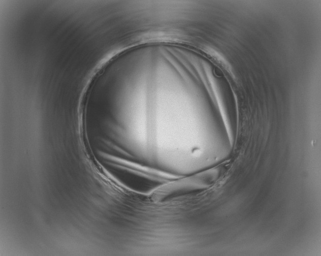 X0000074021419200609061104