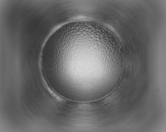 X0000074021421200609061104