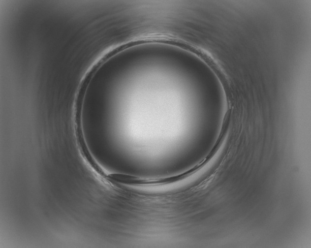 X0000074021422200609061104