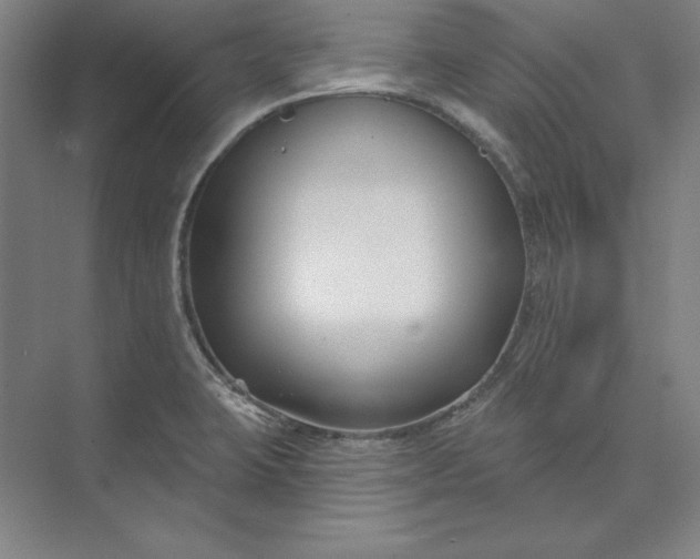 X0000074021423200609061104