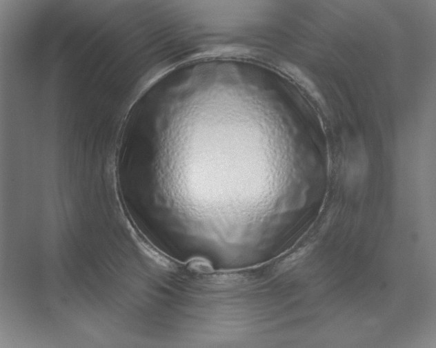 X0000074021425200609061104