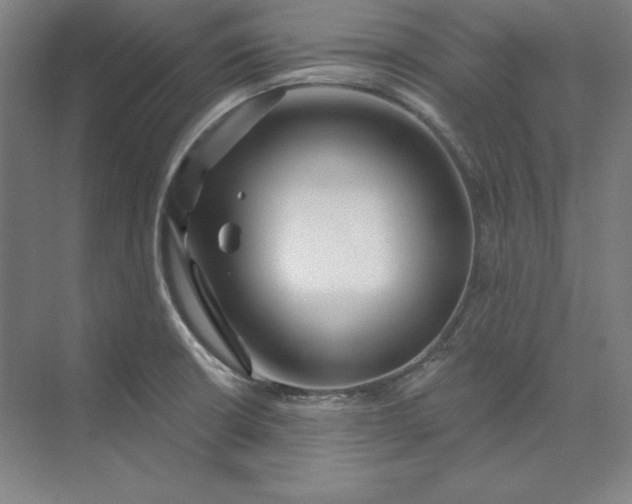 X0000074021426200609061104