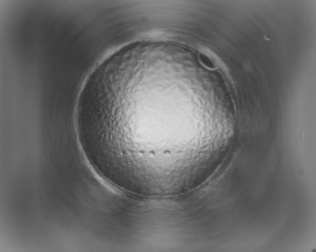 X0000074021429200609061104