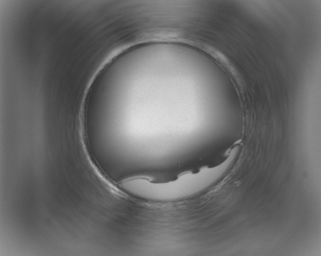 X0000074021432200609061104