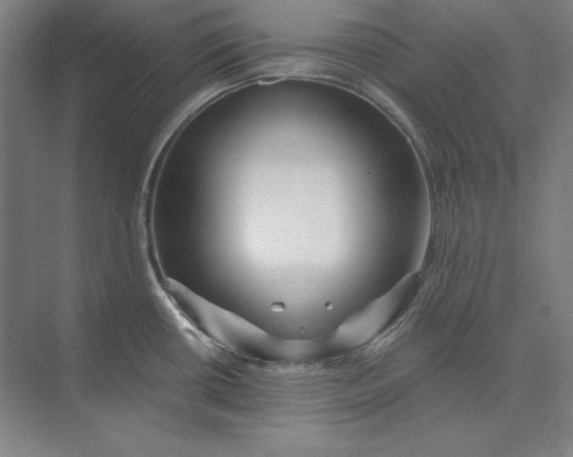X0000074021434200609061104
