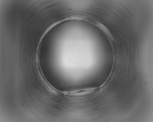 X0000074021436200609061104