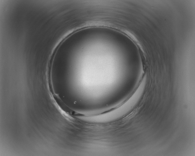 X0000074021438200609061104