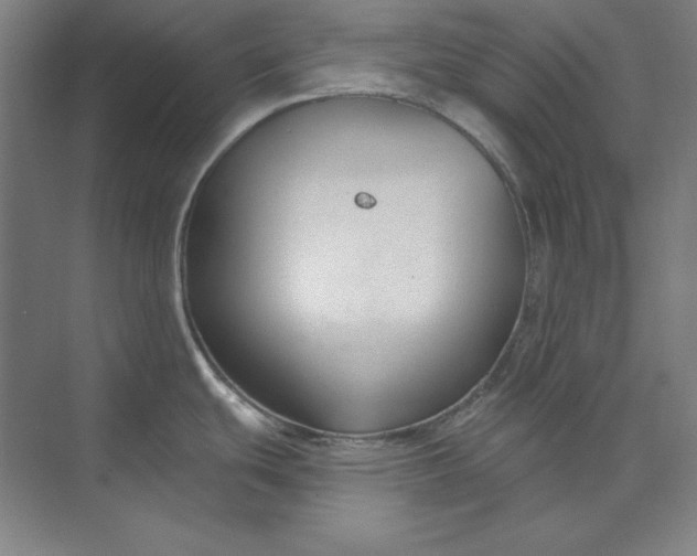 X0000074021439200609061104