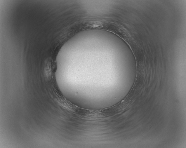 X0000074021442200609061103