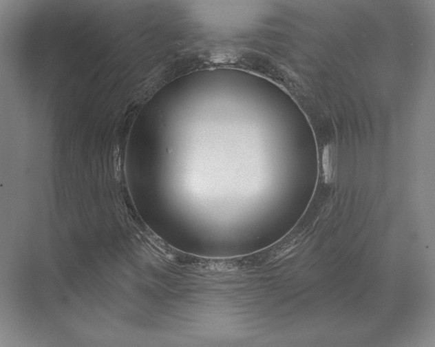 X0000074021443200609061103