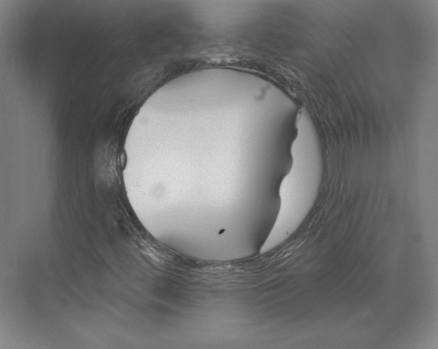 X0000074021444200609061103