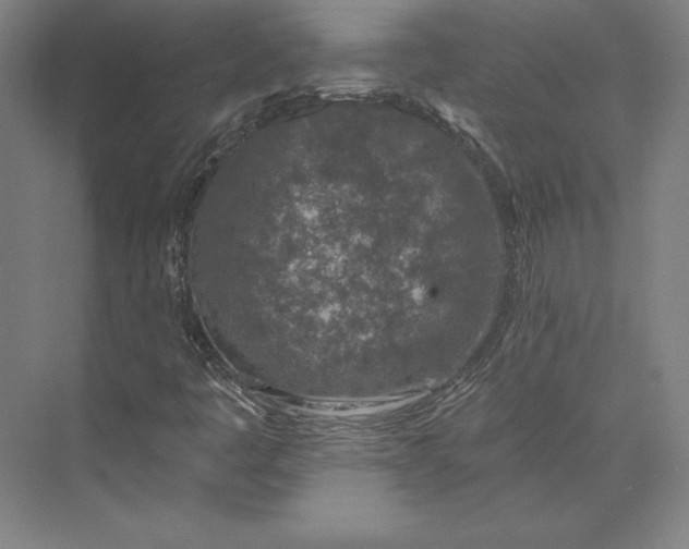 X0000074021445200609061103