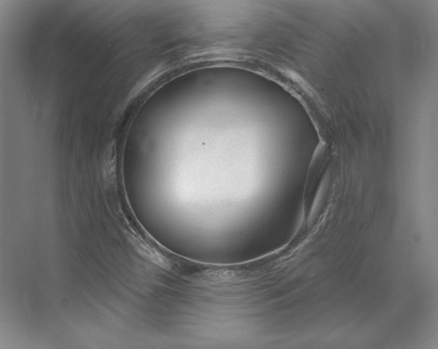 X0000074021450200609061103