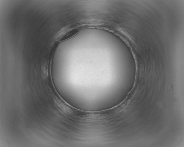 X0000074021451200609061103