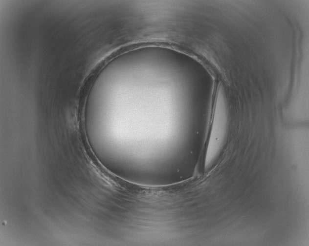 X0000074021452200609061103
