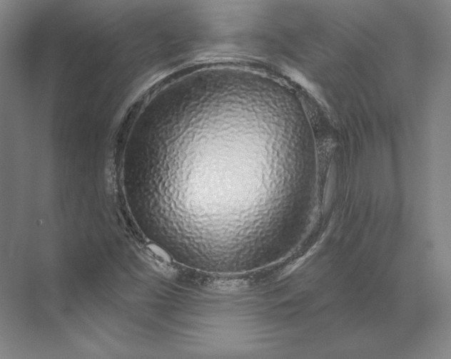 X0000074021453200609061103
