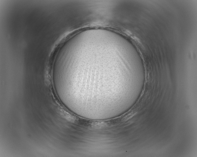 X0000074021454200609061103