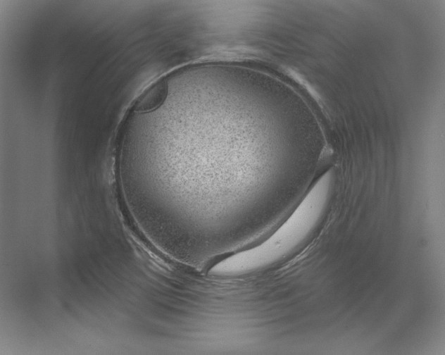 X0000074021459200609061103