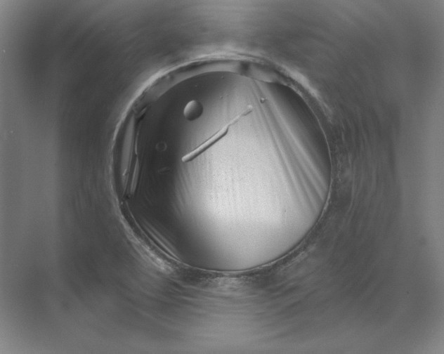 X0000074021463200609061103