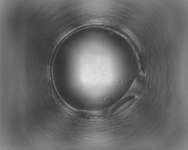 X0000074021465200609061103