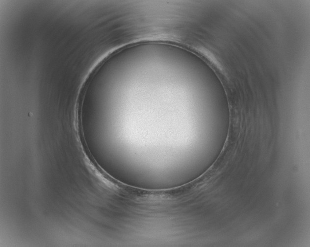 X0000074021468200609061103