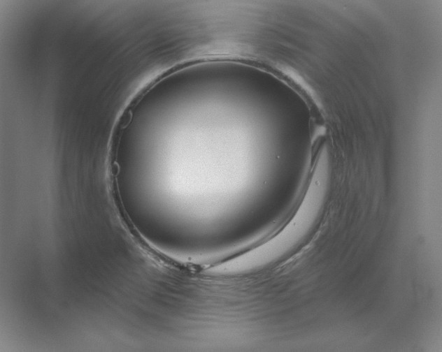 X0000074021469200609061103