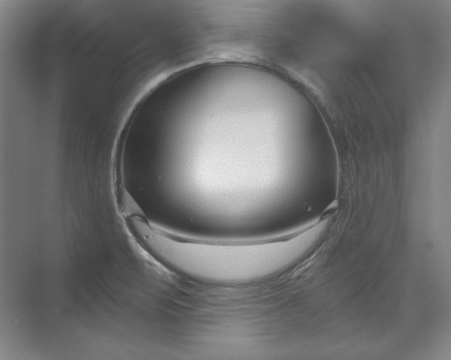 X0000074021471200609061103