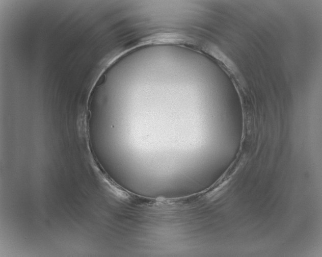X0000074021473200609061103