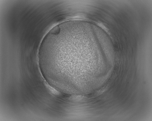 X0000074021474200609061103
