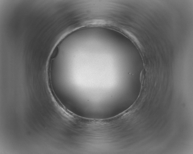 X0000074021475200609061103