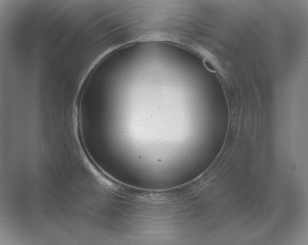 X0000074021476200609061103
