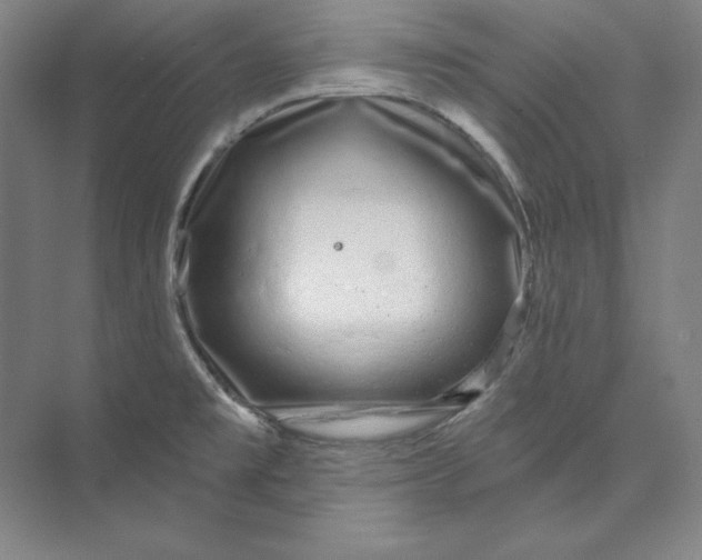 X0000074021477200609061102