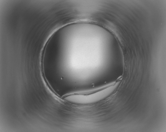 X0000074021483200609061102