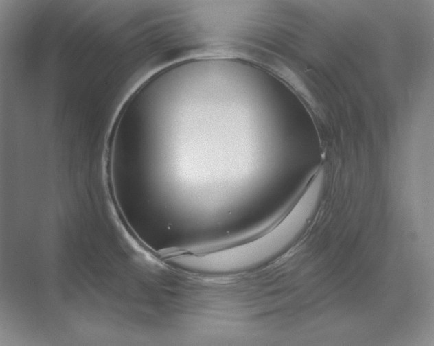 X0000074021484200609061102