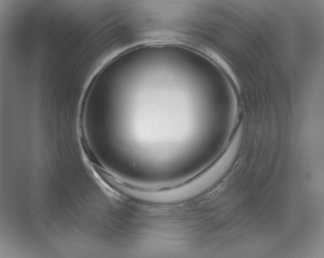 X0000074021485200609061102