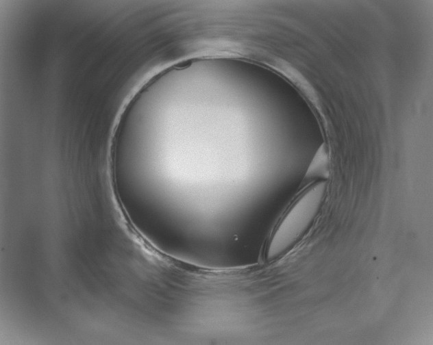 X0000074021488200609061102