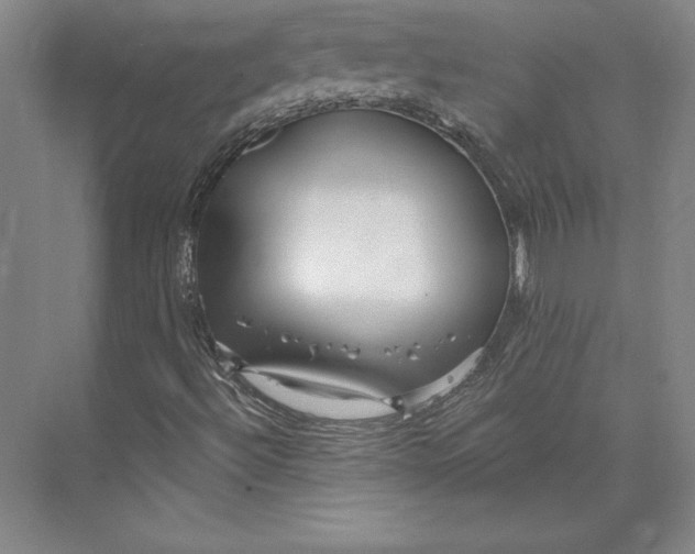 X0000074021492200609061102