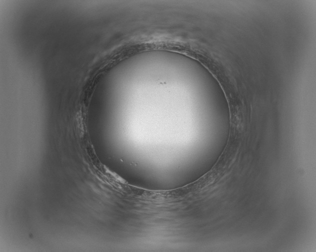 X0000074021493200609061102