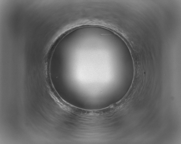 X0000074021503200609061102